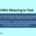 hmu-meaning-in-text