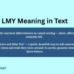 lmy-meaning-in-text