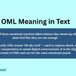 oml-meaning-in-text
