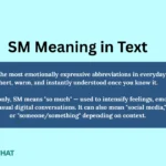 sm-meaning-in-text