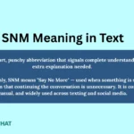 snm-meaning-in-text