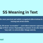ss-meaning-in-text