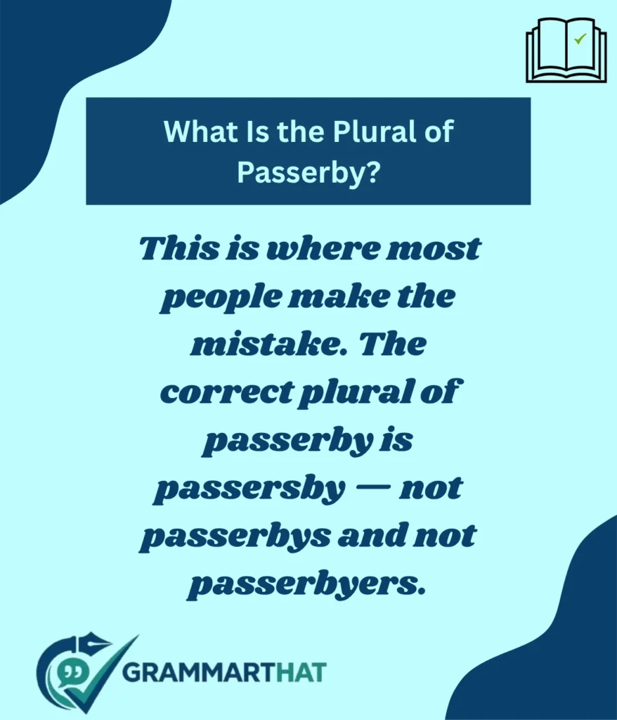 what-is-the-plural-of-passerby