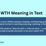 wth-meaning-in-text-explain