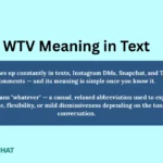 wtv-meaning-in-text