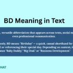 bd-meaning-in-text
