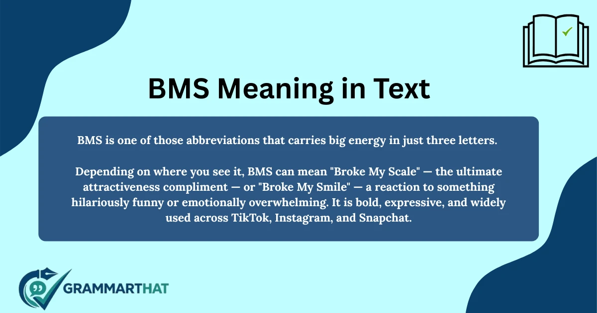 bms-meaning-in-text