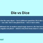 die-vs-dice-difference