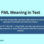 fml-meaning-in-text