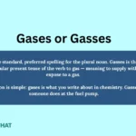 gases-or-gasses