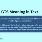 gts-meaning-in-text