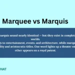 marquee-vs-marquis-which-is-correct
