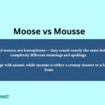 moose-vs-mousse