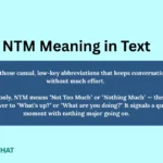 ntm-meaning-in-text