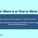 one-or-more-is-or-one-or-more-are