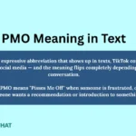 pmo-meaning-in-text