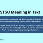 stsu-meaning-in-text
