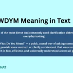 wdym-meaning-in-text