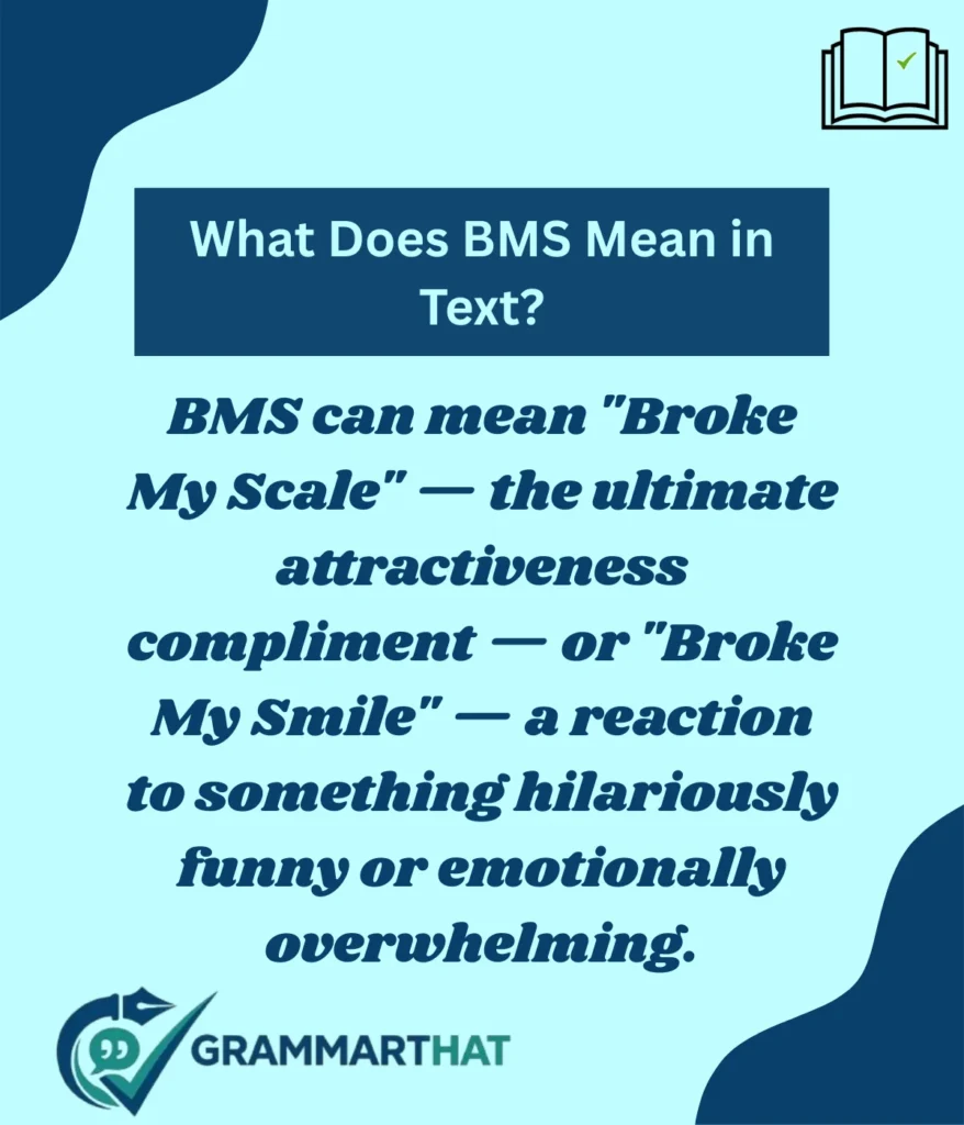 what-does-bms-mean-in-text