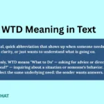 wtd-meaning-in-text