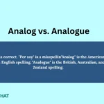 analog-vs-analogue