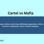 cartel-vs-mafia