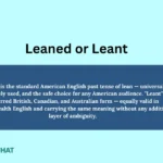 leaned-or-leant-meaning