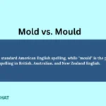 mold-vs-mould