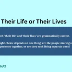 their-life-or-their-lives