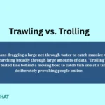 trawling-vs-trolling