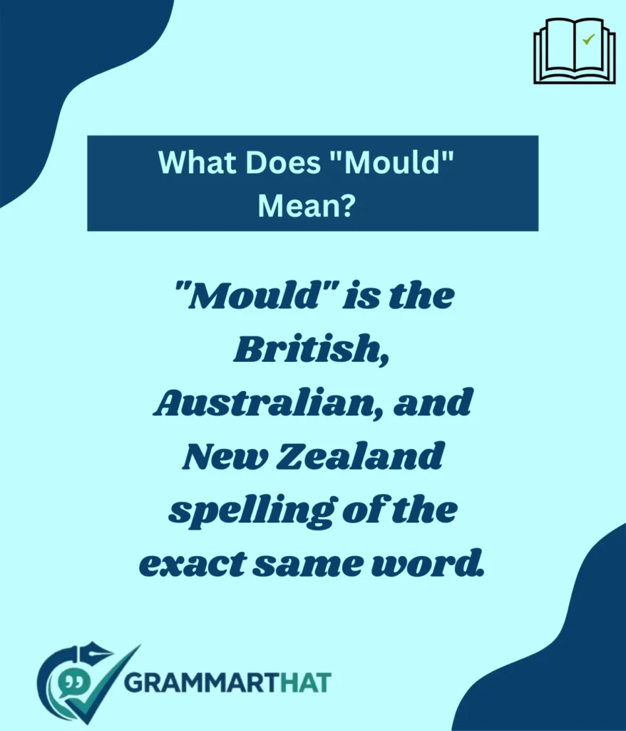 what-does-mould-mean