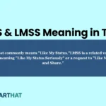 lms-and-lmss-meaning-in-text