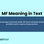 mf-meaning-in-text