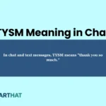 tysm-meaning-in-chat