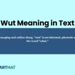 wut-meaning-in-text