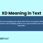 xd-meaning-in-text