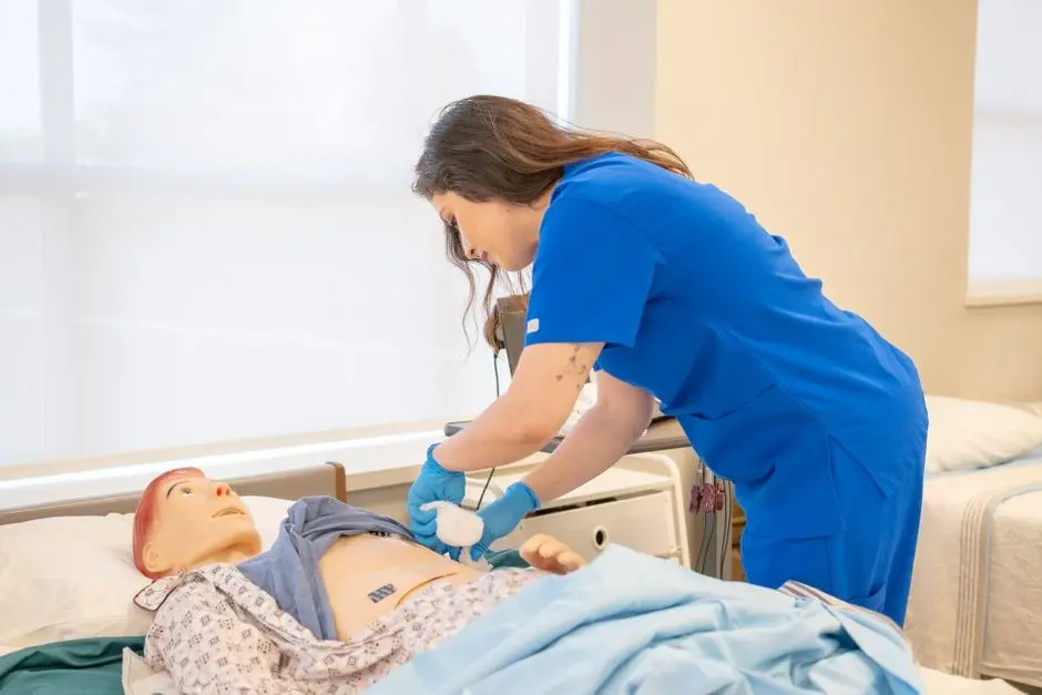 Beyond Bedside Care Finding Your Path in Advanced Nursing